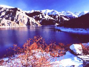 新疆天山天池风景名胜区